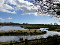 205. Topsham and Exeter