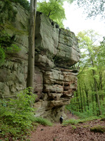 13. Mullerthal