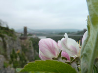 11. Bristol