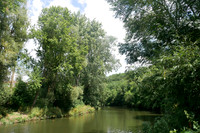 164. Beese's Garden