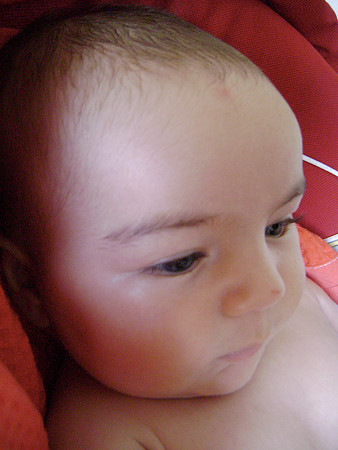 DSC00716