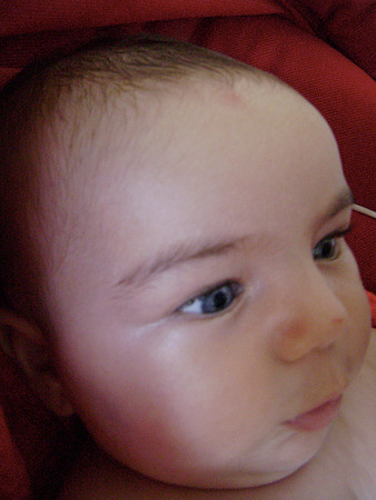DSC00717