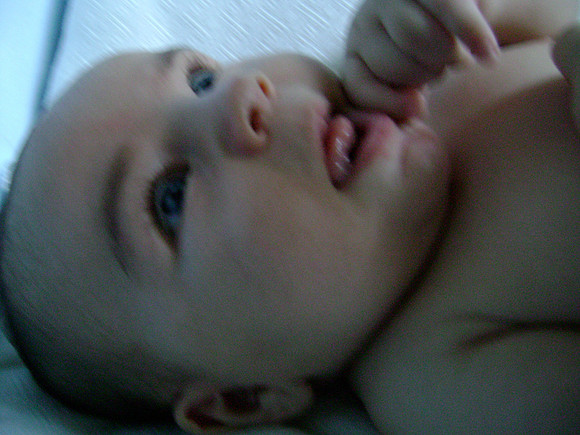 DSC00730