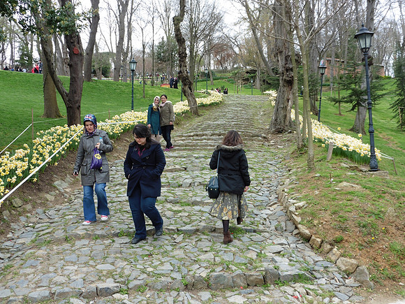 Tulip gardens