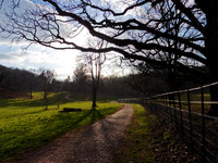 36. Ashton Court