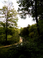 79. Prior Park Landscaped Garden