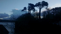 99. Lizard's coastal path