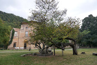 144. Casalecchio di Reno