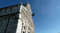 66. Tigro al Campo dei Miracoli, Pisa